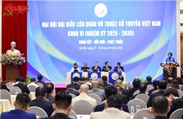 Ông Nguyễn Ngọc Anh tái cử chức Chủ tịch Liên đoàn Võ thuật cổ truyền Việt Nam
