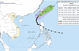 Thời tiết ngày 12/11: Bão số 14 suy yếu dần, cảnh báo gió mạnh và sóng lớn trên biển