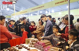 Hội chợ xúc tiến thương mại hàng tiêu dùng và đặc sản địa phương 2025