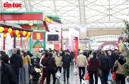 Hội chợ Mùa Xuân 2026, không gian mua sắm Tết đa dạng, thuận tiện cho người tiêu dùng