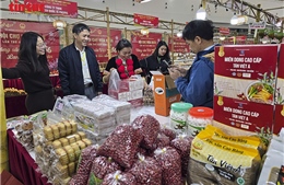 Đi một lần, sắm đủ Tết tại Hội chợ Mùa Xuân 2026