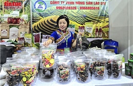 Hội chợ Mùa Xuân, cơ hội vàng cho doanh nghiệp tìm kiếm đối tác