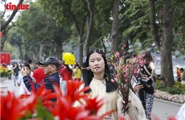 Phố Hà Nội thanh bình những ngày giáp Tết