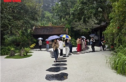 Khách thập phương đội mưa xuân vãn cảnh chùa Địa Tạng Phi Lai