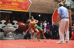 Rộn ràng hội vật đình Mai Động đầu Xuân Bính Ngọ
