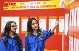 Tuổi trẻ Hà Nội sẵn sàng hỗ trợ cử tri trong 'Ngày hội non sông'