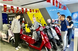 Thị trường xe điện trở nên sôi động, nhiều mẫu xe khan hàng