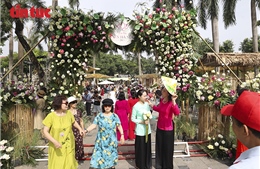 Lễ hội Sen Hà Nội 2026 thu hút đông đảo người dân dịp cuối tuần