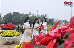 Hà Nội rực rỡ cờ hoa, hân hoan đón Tết Độc lập 