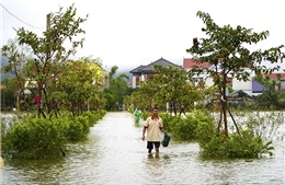 Thời tiết ngày 1/11: Mưa lớn diện rộng ở Trung Bộ, Bắc Bộ trời lạnh và có nơi rét