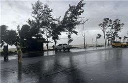 Thời tiết ngày 19/12: Gió Đông Bắc duy trì cường độ mạnh, biển động trên nhiều khu vực