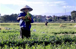 Thời tiết ngày 28/5: Bắc Bộ nắng nóng trước khi đón mưa dông, Nam Bộ mưa to cục bộ