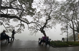 Thời tiết ngày 20/12: Không khí lạnh chi phối, Bắc Bộ rét về đêm, biển động mạnh