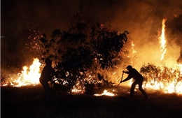 Chile tuyên bố &#39;tình trạng thảm họa&#39; tại 3 khu vực cháy rừng