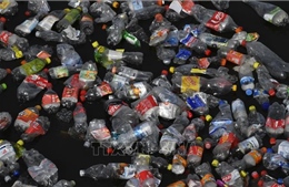 Trí thức trẻ ASEAN và Nhật Bản nêu đề xuất giảm ô nhiễm rác nhựa đại dương