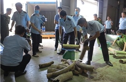 Một hành khách từ Nhật Bản mang nhiều sản phẩm nghi chế tác từ ngà voi 