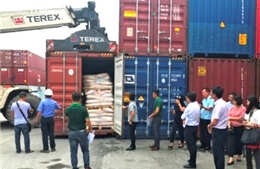 Đã giảm gần 11.000 container phế liệu lưu giữ tại cảng biển 