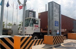 Phát hiện hàng trăm container vi phạm quy định xuất nhập khẩu