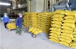 Trả lời chính thức của Tổng cục trưởng Tổng cục Hải quan về việc tờ khai xuất khẩu gạo mở vào &#39;giờ hiểm&#39;
