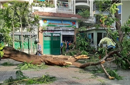 Bí thư Thành ủy TP Hồ Chí Minh viếng học sinh bị nạn do cây đổ