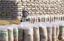 Bổ sung 274 tỷ đồng mua bù gạo dự trữ quốc gia