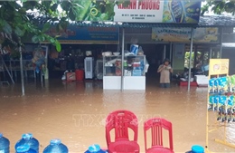 Đề xuất cấp 6.000 tấn gạo hỗ trợ người dân bị ảnh hưởng bão lũ