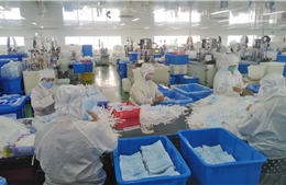 Doanh nghiệp xoay xở vượt khó