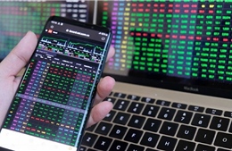 Lực cầu bắt đáy 'sôi động’, chứng khoán bật tăng 