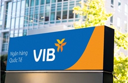 VIB tăng vốn điều lệ, chia cổ phiếu thưởng 40%