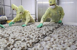 Thu ngân sách khả quan dù COVID-19 bùng phát