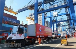 Giải quyết những lô hàng nhập khẩu nhưng chưa bốc dỡ xuống cảng Cát Lái