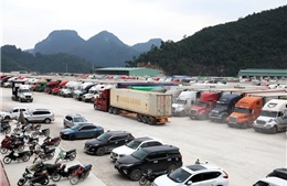 Lượng hàng tồn ở các cửa khẩu lên tới 6.200 xe, nhiều lái xe "nằm chờ" 20 ngày