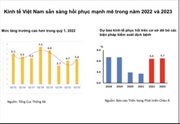Nhờ bao phủ vaccine, ADB dự báo GDP Việt Nam phục hồi ở mức 6,5%