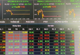 Ngày 12/8: Cổ phiếu trụ cột kéo VN-Index vượt mốc 1.260 điểm