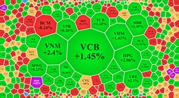 VN-Index vượt ngưỡng kháng cự 1.050 điểm, thanh khoản khởi sắc