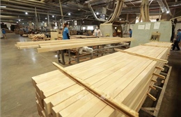 Kế hoạch triển khai thi hành Luật sửa đổi, bổ sung Luật Tiêu chuẩn và quy chuẩn kỹ thuật