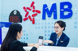 MB tổ chức Hội thảo quốc tế giúp doanh nghiệp Việt Nam giải bài toán ‘chuyển đổi số’