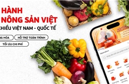 Sắp ra mắt sàn bán buôn xuyên biên giới 2 chiều đầu tiên tại Việt Nam 