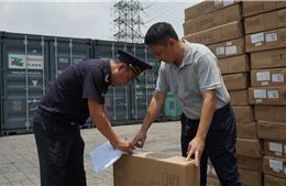 Chặn đứng lô hàng quá cảnh từ Trung Quốc đi Lào Cai 