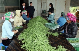 Từ ngày 1/7, nâng mức cho vay đối với cá nhân, hộ kinh doanh không có tài sản đảm bảo 