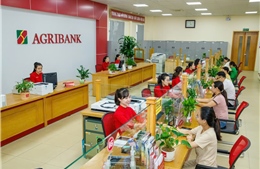 Dự nợ tín dụng tăng 18,71% so với cùng kỳ năm ngoái 