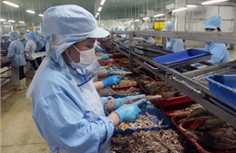  Sau 2 tháng thực hiện Nghị quyết 68, số doanh nghiệp gia nhập thị trường khởi sắc 