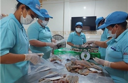 Kỳ vọng các động lực tăng trưởng cuối năm