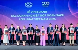 Vinh danh doanh nghiệp nộp ngân sách hàng trăm tỷ đồng