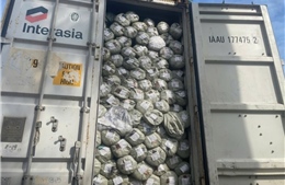 Xử phạt một Công ty xuất khẩu hàng hóa giả mạo xuất xứ Việt Nam 