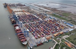 Thương mại phục hồi, Hải quan về đích sớm ‘thu ngân sách’