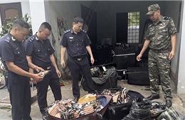 Xử nghiêm hành vi buôn lậu, vận chuyển trái phép hàng hóa qua biên giới dịp Tết 