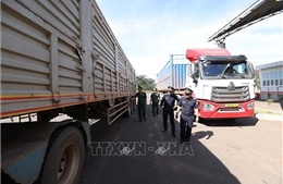  Bố trí lực lượng trực đảm bảo thông quan hàng hóa dịp Tết