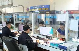 Cải tiến mạnh mẽ quy trình, hải quan giảm đáng kể thời gian thông quan 