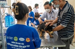  Lan tỏa nhận thức, phòng chống dịch bệnh từ việc buôn bán thịt chó, mèo 